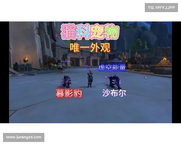 魔兽世界宠物经验值提升攻略